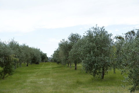 Empire Spa Retreat - Tourism Adelaide 1