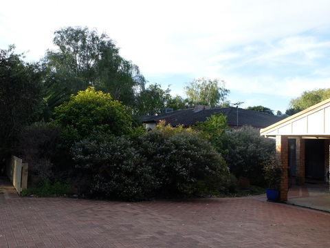 Esperance Seafront Holiday Units - Tourism Adelaide 3