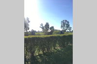 Book Benalla Accommodation Vacations Tourism Adelaide Tourism Adelaide