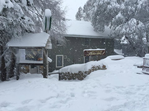 Feathertop Alpine Lodge - Tourism Adelaide 0