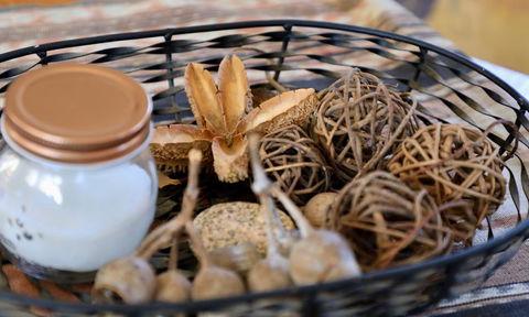 Fig Tree Cabin - Tourism Adelaide 1