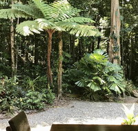 Forest Views Daintree - Tourism Adelaide
