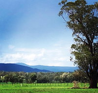 Fourjay Farmstay - Tourism Adelaide