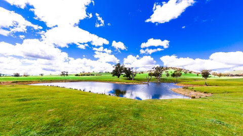 Hillview Farmstay - Tourism Adelaide 0