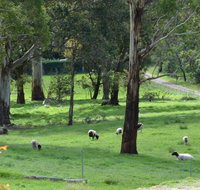JAN'S ART STUDIO AT ASHBY RISE - Tourism Adelaide