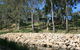 Levi Park Caravan Park - thumb 1