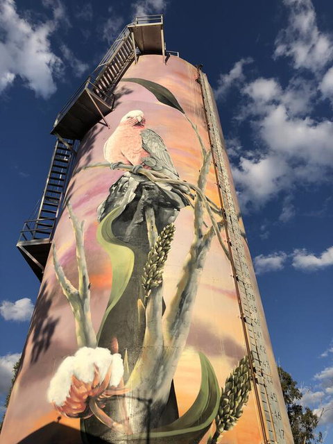 Moura Motel - Tourism Adelaide 1