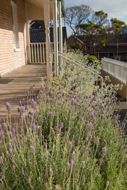 Spencer Cottage - Tourism Adelaide 11