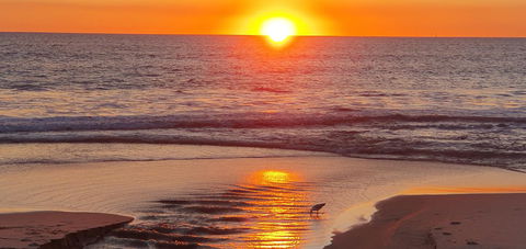 Summer Breeze - Holiday Or Business Apartment - Tourism Adelaide 13