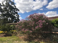 Book Cockburn Central Accommodation Vacations Tourism Adelaide Tourism Adelaide