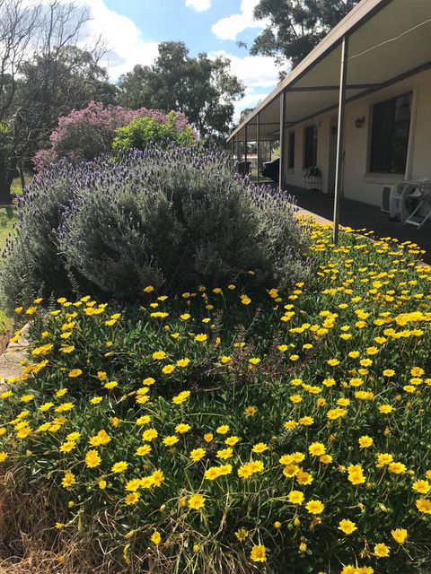 Cockburn Retreat Home æŸæ–¯æ‚ é–’æ°‘å®¿ - Tourism Adelaide 3