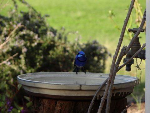 Big Brook Retreat - Tourism Adelaide 6