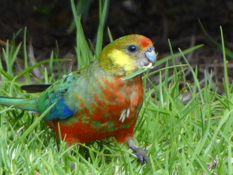Big Brook Retreat - Tourism Adelaide 13