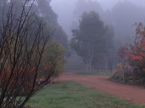 Big Brook Retreat - Tourism Adelaide 14