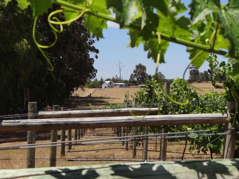 Big Brook Retreat - Tourism Adelaide 8