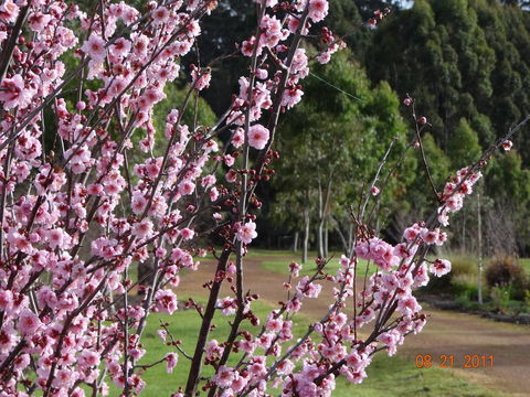 Big Brook Retreat - Tourism Adelaide 9