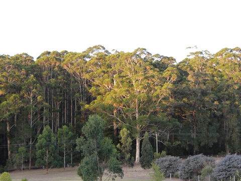 Big Brook Retreat - Tourism Adelaide 11