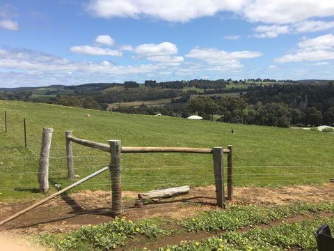 Tegwan's Nest Holiday Home - Tourism Adelaide 39