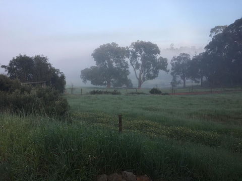 Tegwan's Nest Holiday Home - Tourism Adelaide 29