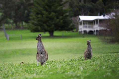 Sienna Lodge - Tourism Adelaide 14