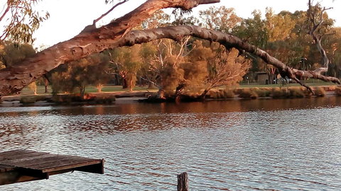 Ascot On Swan Bed & Breakfast - Tourism Adelaide 9