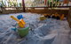 Beadon Bay Hotel - thumb 19