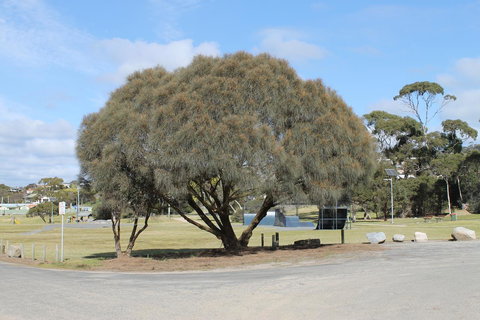 Bircoo Cottage Beach And Golf Getaway - Tourism Adelaide 12