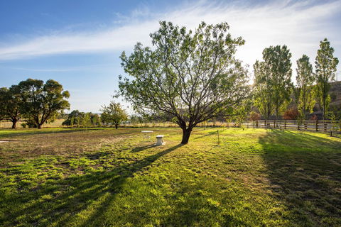 Prospect Country House & Restaurant - Tourism Adelaide 31