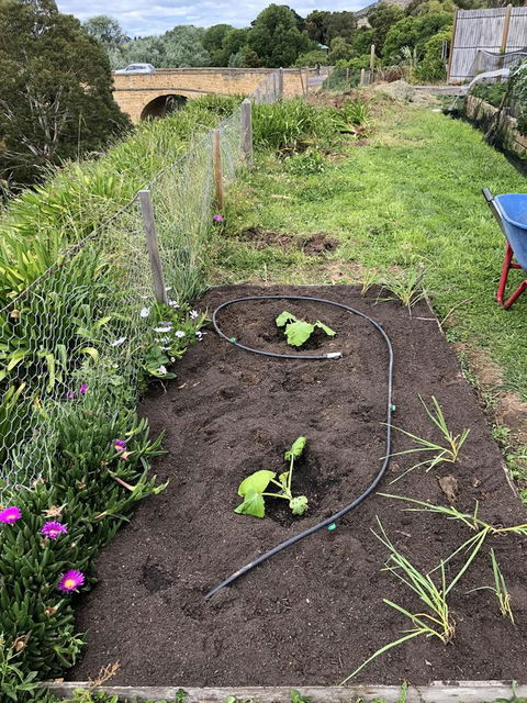 Richmond Bridge Accommodation â€œTwo The Bridgeâ€ - Tourism Adelaide 29
