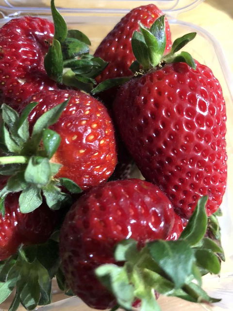 Richmond Bridge Accommodation â€œTwo The Bridgeâ€ - Tourism Adelaide 17