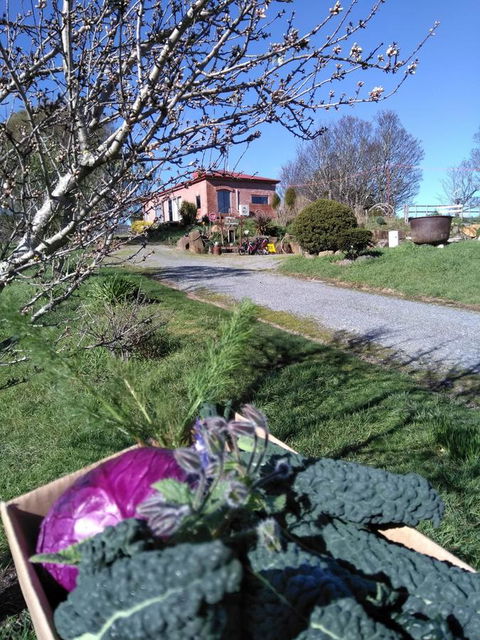 Cherry Top Farmstay - Boutique Eco Village - Tourism Adelaide 23
