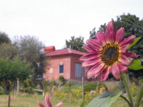 Cherry Top Farmstay - Boutique Eco Village - Tourism Adelaide 27