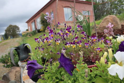 Cherry Top Farmstay - Boutique Eco Village - Tourism Adelaide 7