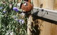 Driftwood-Cottage - thumb 26