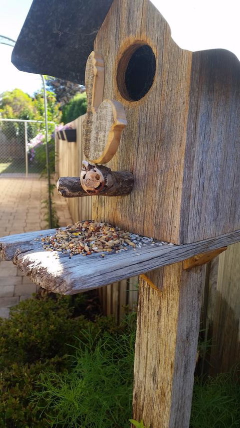 Driftwood-Cottage - Tourism Adelaide 29