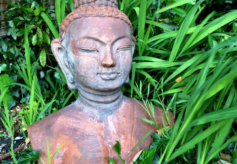 Belton Apartments-Hedge Cottage - Tourism Adelaide 15