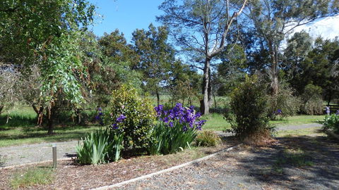 Karoola Cottage Self Contained - Tourism Adelaide 19