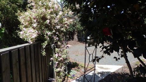 Karoola Cottage Self Contained - Tourism Adelaide 20