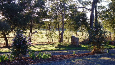 Karoola Cottage Self Contained - Tourism Adelaide 25