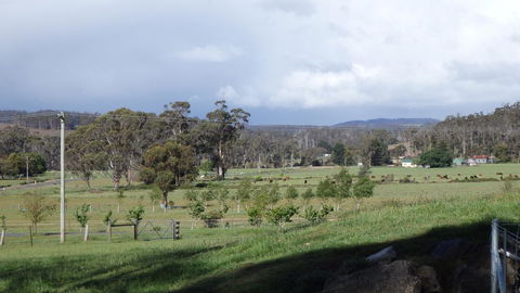 Karoola Cottage Self Contained - Tourism Adelaide 11