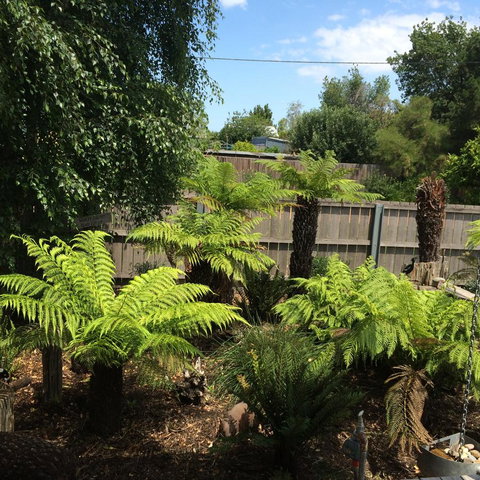 Pinestumps Holiday Home - Tourism Adelaide 14