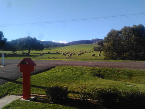 Pinestumps Holiday Home - Tourism Adelaide 11