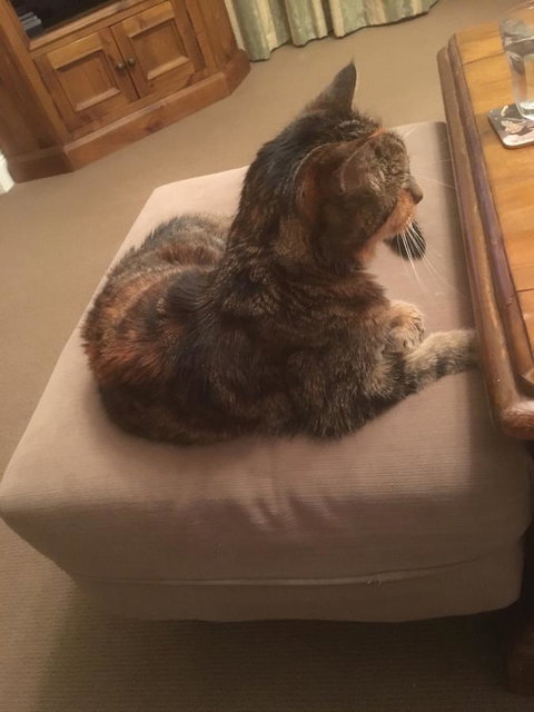 House On The Hill Bed And Breakfast - Tourism Adelaide 13