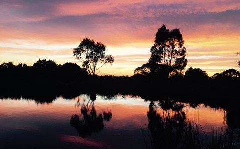 Blu-Sea 365 - Tourism Adelaide 9