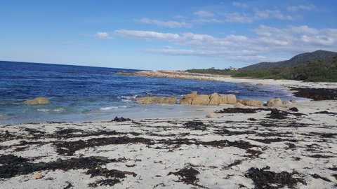 Blu-Sea 365 - Tourism Adelaide 25