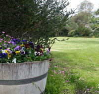 Padthaway Caravan Park - Tourism Adelaide