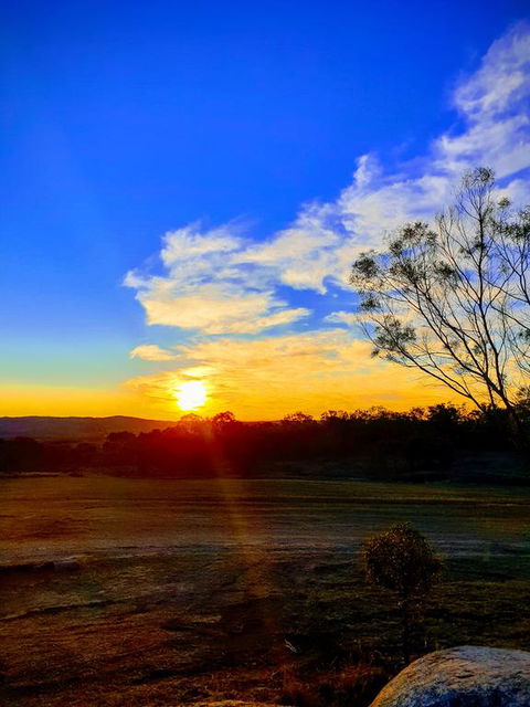 R & R On The Ravine - Tourism Adelaide 3