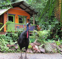 Rainforest Hideaway - Tourism Adelaide