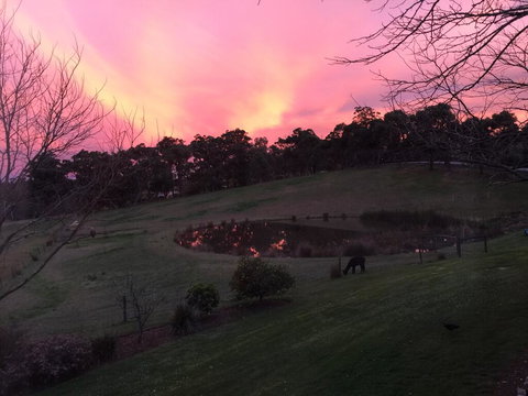 Raynella Alpaca Farmstay - Tourism Adelaide 1