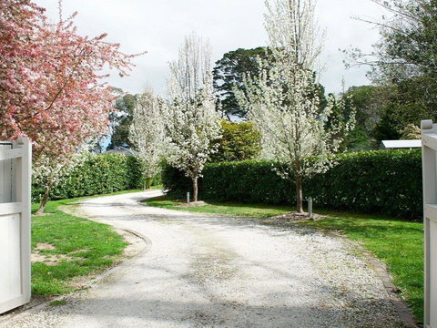 Robin Hill Manor - Rambling Retreat & Tennis Court - Tourism Adelaide 0